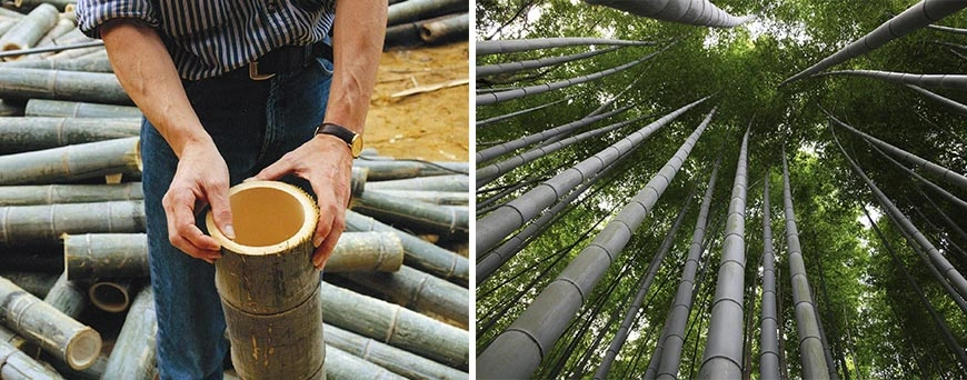 why you should use bamboo as wood